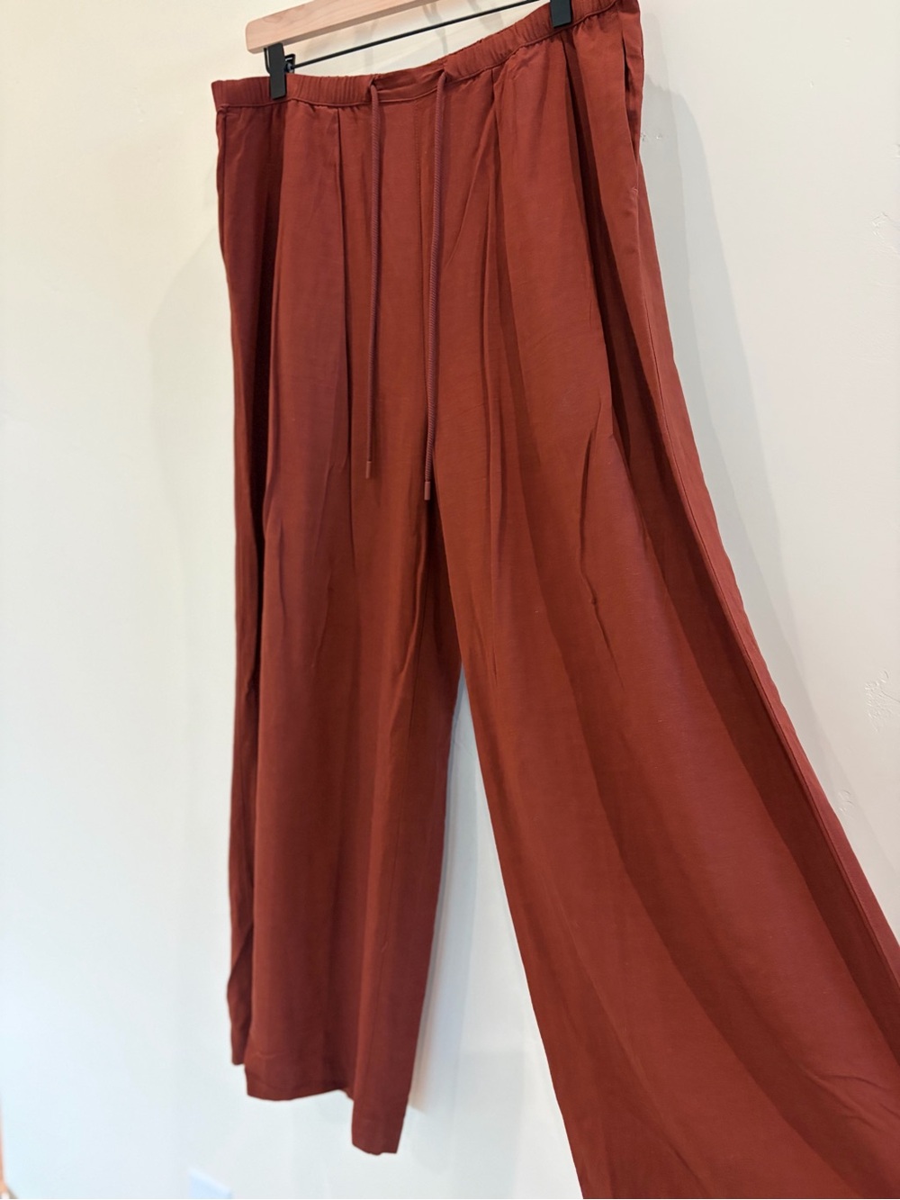 Calla Wide Leg Drawstring Pants in Rust - Picture 4 of 6